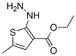 3-티오펜카르복실산,2-히드라지노-5-메틸-,에틸에스테르(9CI) 구조식 이미지