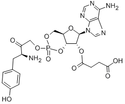 2'-O-MONOSUCCINYLADENOSINE 3':5'-CYCLIC MONOPHOSPHATE TYROSYL METHYL ESTER Structure