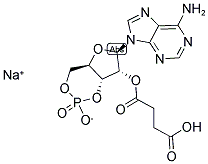 2'-O-MONOSUCCINYLADENOSINE-3',5'-CYCLIC MONOPHOSPHATE SODIUM SALT 구조식 이미지