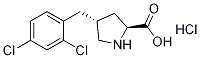 (2S,4R)-4-(2,4-dichlorobenzyl)pyrrolidine-2-carboxylic acid hydrochloride Structure