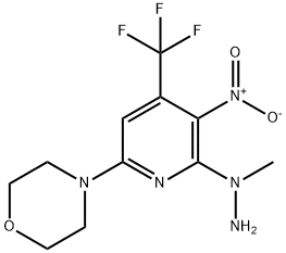 N-Methyl-N-(6-morpholin-4'-yl-3-nitro-4-(trifluoromethyl)pyridin-2-yl)hydrazine 구조식 이미지