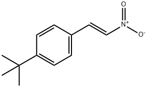 Benzene, 1-(1,1-dimethylethyl)-4-[(1E)-2-nitroethenyl]- 구조식 이미지