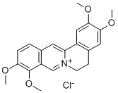10605-02-4 Palmatine chloride