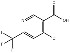 4-클로로-6-트리플루오로메틸-니코틴산 구조식 이미지