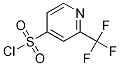 2-TRIFLUOROMETHYL-PYRIDINE-4-SULFONYL CHLORIDE Structure