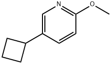 5-시클로부틸-2-메톡시피리딘 구조식 이미지