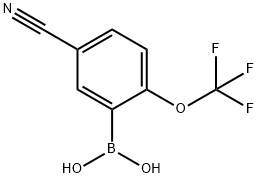 5-시아노-2-(트리플루오로메톡시)페닐보론산 구조식 이미지
