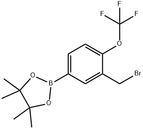 (3-(BROMOMETHYL)-4-(TRIFLUOROMETHOXY)PHENYL)BORONIC ACID, PINACOL ESTER Structure