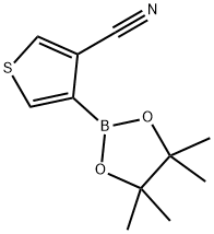 3-CYANOTHIOPHENE-4-BORONICACIDPINACOL에스테르 구조식 이미지
