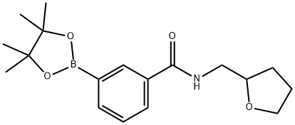 3-(Tetrahydrofurfurylaminocarbonyl)benzeneboronic acid pinacol ester 구조식 이미지