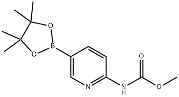 2-MethoxycarbonylaMinopyridine-5-boronic acid, pinacol ester Structure