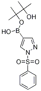 1-Phenylsulfonyl-1H-pyrazole-4-boronic acid pinacol ester 구조식 이미지