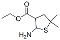 3-Thiophenecarboxylicacid,2-aminotetrahydro-5,5-dimethyl-,ethylester(9CI) Structure