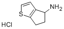 5,6-DIHYDRO-4H-CYCLOPENTA[B]THIOPHEN-4-YLAMINE HYDROCHLORIDE Structure