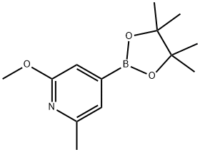 2-Methoxy-6-methyl-4-(4,4,5,5-tetramethyl-1,3,2-dioxaborolan-2-yl)pyridine 구조식 이미지