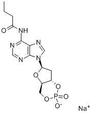 N6-MONOBUTYRYL-2'-DEOXYADENOSINE 3':5'-CYCLIC MONOPHOSPHATE SODIUM SALT Structure