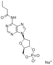 N6-MONOBUTYRYL-2'-DEOXYADENOSINE 3':5'-CYCLIC MONOPHOSPHATE SODIUM SALT 구조식 이미지