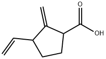 시클로펜탄카르복실산,3-에테닐-2-메틸렌-(9CI) 구조식 이미지