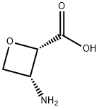 (2S, 3R)-3-amino-2-oxetanecarboxylic acid Structure