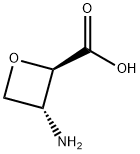 (2R, 3R)-3-AMINO-2-OXETANECARBOXYLIC ACID Structure