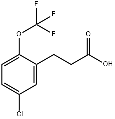 3-[5-Chloro-2-(trifluoromethoxy)phenyl]propionicacid Structure