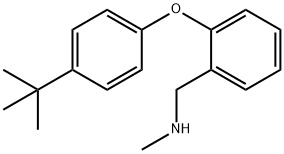 N-[2-(4-tert-Butylphenoxy)benzyl]-N-methylamine Structure