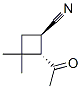 Cyclobutanecarbonitrile, 2-acetyl-3,3-dimethyl-, trans- (9CI) Structure