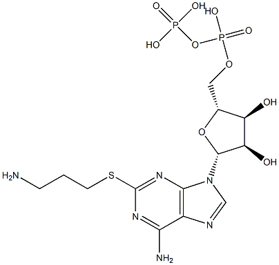 2-((3-aminopropyl)thio)adenosine 5'-diphosphate Structure