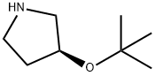 (S)-4-tert-butoxypyrrolidine Structure