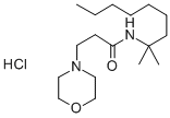 TR 428 Structure