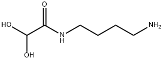 Acetamide, N-(4-aminobutyl)-2,2-dihydroxy- (9CI) 구조식 이미지