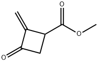 시클로부탄카르복실산,2-메틸렌-3-옥소-,메틸에스테르(9CI) 구조식 이미지