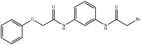 2-Bromo-N-{3-[(2-phenoxyacetyl)amino]-phenyl}acetamide Structure