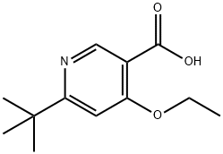 나트륨6-tert-부틸-4-에톡시니코티네이트 구조식 이미지