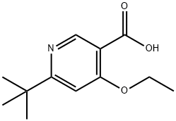 sodiuM 6-tert-butyl-4-ethoxynicotinate Structure