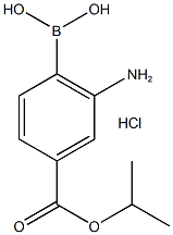 2-아미노-4-(이소프로폭시카르보닐)페닐보론산, 구조식 이미지