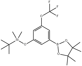 3-(t-Butyldimethysilyloxy)-5-trifluoromethoxyphenylboronic acid,pinacol ester Structure