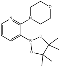 2-Morpholinopyridine-3-boronic acid, pinacol ester 구조식 이미지