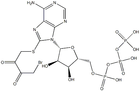 8-((4-bromo-2,3-dioxobutyl)thio)adenosine 5'-triphosphate Structure