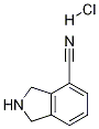 4-시아노-이소인돌린HCL 구조식 이미지