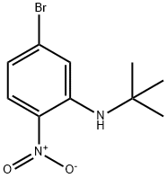5-브로모-N-tert-부틸-2-니트로아닐린 구조식 이미지