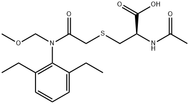 ALACHLORMERCAPTURATE Structure