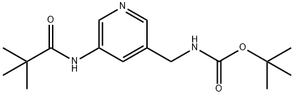 tert-Butyl (5-pivalamidopyridin-3-yl)-methylcarbamate 구조식 이미지