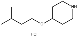 4-(ISOPENTYLOXY)PIPERIDINE HYDROCHLORIDE Structure