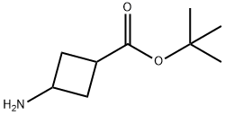 3-Aminocyclobutanecarboxylic  acid  tert-butyl  ester Structure