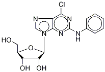 2-PhenylaMino-6-chloropurine-9-β-D-riboside Structure