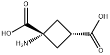 1-AMINOCYCLOBUTANE-CIS-1,3-DICARBOXYLIC ACID 구조식 이미지