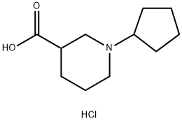 1-Cyclopentylpiperidine-3-carboxylic acidhydrochloride 구조식 이미지