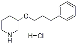 3-(3-PHENYLPROPOXY)PIPERIDINE HYDROCHLORIDE Structure