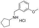 Cyclopentyl-(3-methoxy-benzyl)-amine hydrochloride Structure